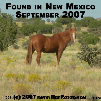FOUND EQUINE Unknown Sorrel Horse, Near Sante Fe, NM, 00000